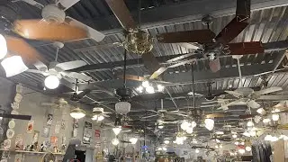 Fanimation Museum Upper Level Ceiling Fans (August 2021)