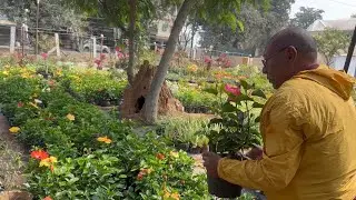 Me and My Friend go out to buy Fresh Flower in Bangalore 🪴🌸🌺🌻2025 Bye Bye  