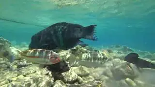 Red Sea Part 2. Красное море часть 2. 紅海部分2.