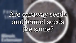 Are caraway seeds and fennel seeds the same?