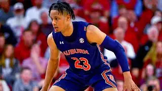 Auburn SF Isaac Okoro 2019-20 Highlights
