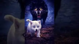 A haunted wolf and a baby wolf story #music #youtubeshorts #trending