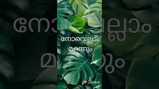 #pathamvalavu #latest  #whatsappstatus #surajvenjaramoodu