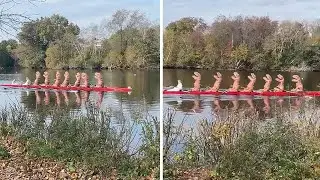 Hilarious footage shows 