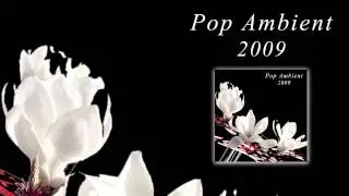 Popnoname - Nightliner 'Pop Ambient 2009' Album