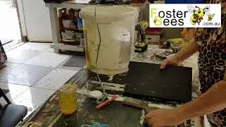 Making A Honey Bee Swarm Box or Russian Scion