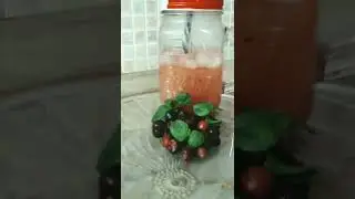 Fresh Falsa juice