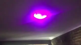 Genio smart bulb