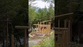POST and BEAM cabin FRAME in 1 minute! #offgrid #throwbackthursday