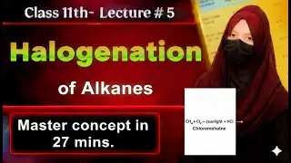 Галогенирование алканов | лекция № 5 | гл. № 11 | первый курс #химия
