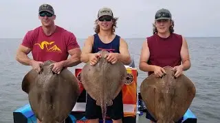 Bowfishing for GIANT Stingrays in Maryland!!!