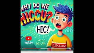 Why Do We Hiccup? 🤔💨 | Fun Body Facts for Kids!