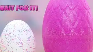 Hatchimals WOW - Coming Soon