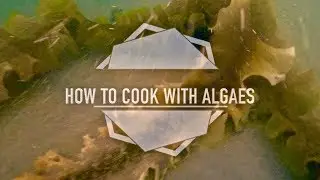 Comment cuisiner les algues - Food Truck - episode 1