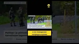 Эстония бьёт тревогу из-за вооружённых групп из РФ.