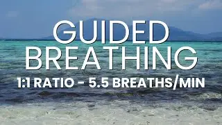Guided Breathing Exercise: 1-to-1 ratio | 5.5 Breaths Per Minute