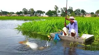 Best fish hunting video - Professional fish hunter catching fish by hook - Amazing fish hunting