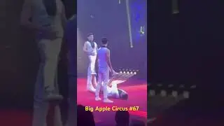 Big Apple Circus #67 Lincoln Center #shorts #youtubeshorts #circus #nyc #yt #lincolncenter #fun