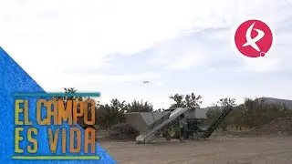 Un centro de pelar almendras móvil | El campo es vida