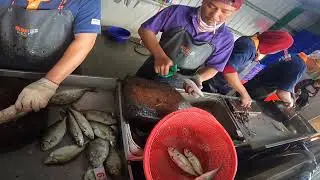 LIGHTNING HANDS vs  the IRON ARMOR FISH! This Fisherman's Speed is INHUMAN! 明發定置漁場 fresh 10
