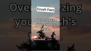 Crush Facts - Overanalyzing your crush's text...