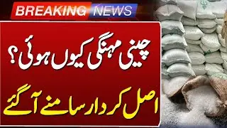 Sugar Mafia Exposed | Rs 300 Billion Profit Revealed | PAC Gets Full List | Such News