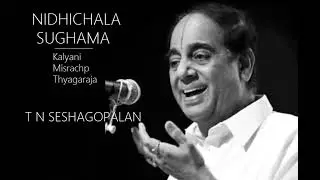 Nidhi chala sukhama / Kalyani / Misrachap / Thyagaraja / T N Seshagopalan