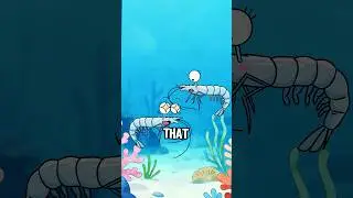 This Shrimp Said &ldquo;NO&rdquo; to Dating&hellip; Until Science Stepped In. 🔬#shorts