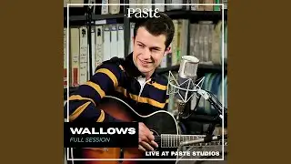 Wallows - These Days