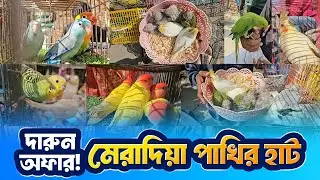 অফার দিলো মেরাদিয়া পাখির হাটে | Bird Offer Price | Bird Price in bd | Vlog Journey |