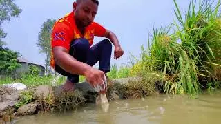 Amazing Bait Fishing Technique Form Pond | Discovery Fishing Pro