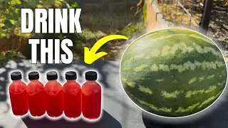 How to Make Watermelon Wellness Shots AND Watermelon Health Benefits
