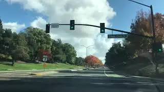 Northern California Autumn 🍂 leaves 캘리포니아 단풍🍁 11-28-2019