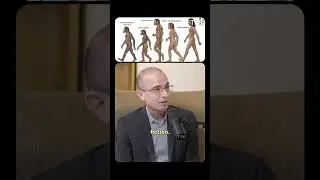 What Is The Basis Of Human Cooperation According to Yuval Noah Harari's Book 'Sapiens?' #shorts
