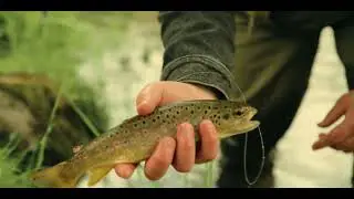 Little Schuylkill River