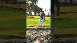 flips in field area #flip #trending #backflip #backflip