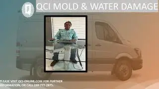 QCI FREE CONSULTATION REGARDING MOLD REMEDIATION