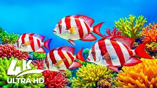 Đang tải...