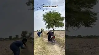 Hunting the osprey🦅😱 #epiceaglehunt  #eaglehunting  #birdofprey  #wildlifehunting #birdhunting
