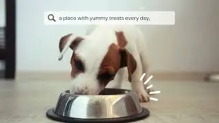 Super Pet Supply: Top Pet Food & Toys | Expert Advice for Happy Pets!