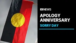 The Senior Australian of the Year speaks about the impacts of Australia&rsquo;s racist past | ABC News