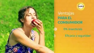 Trampa para insectos en cultivos |  Solabiol