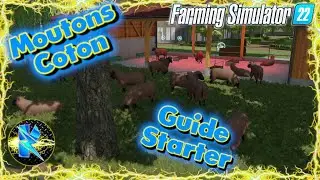 😜Fs22 Guide: Faire un Start Moutons/Coton!😮P1: préparatifs! Tuto guide commencer avec les moutons