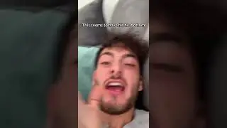 Funny Chihuahua#dog #dogs #fypシ #pov #pet #funny #fun #kitten #pets