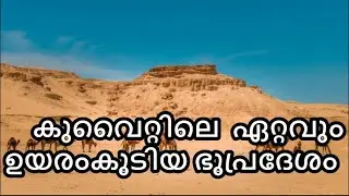 മുത്തല / mutla ridge / jahara dessert/ hill desert of kuwait / buggy riding/ camel and horse riding