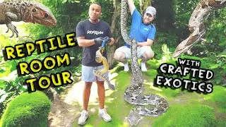 Exotic Reptile Room Tour🤯!!!