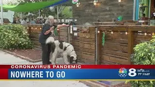 St. Petersburg coronavirus restrictions and closings