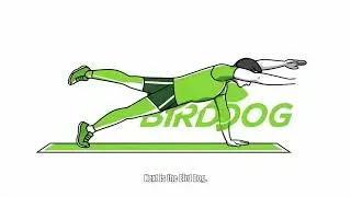 Week 1  Beginner Belly Burner