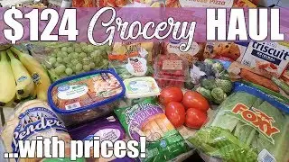 $124 Walmart Grocery Haul on a Budget | $400 Per Month | Family of 4