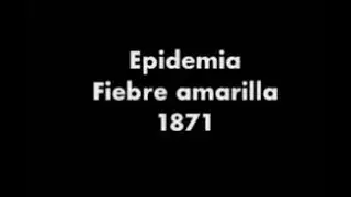 Epidemia - Fiebre amarilla en 1871.